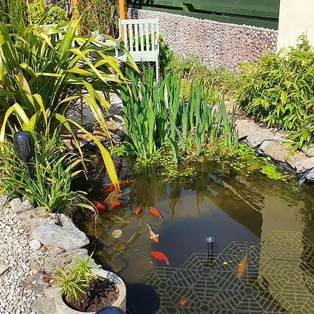 Eden's Rest Bed & Breakfast 4*