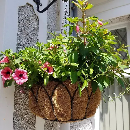 Bed & Breakfast Eden's Rest Bugle