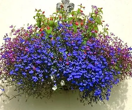 Eden's Rest Bed & Breakfast 4*